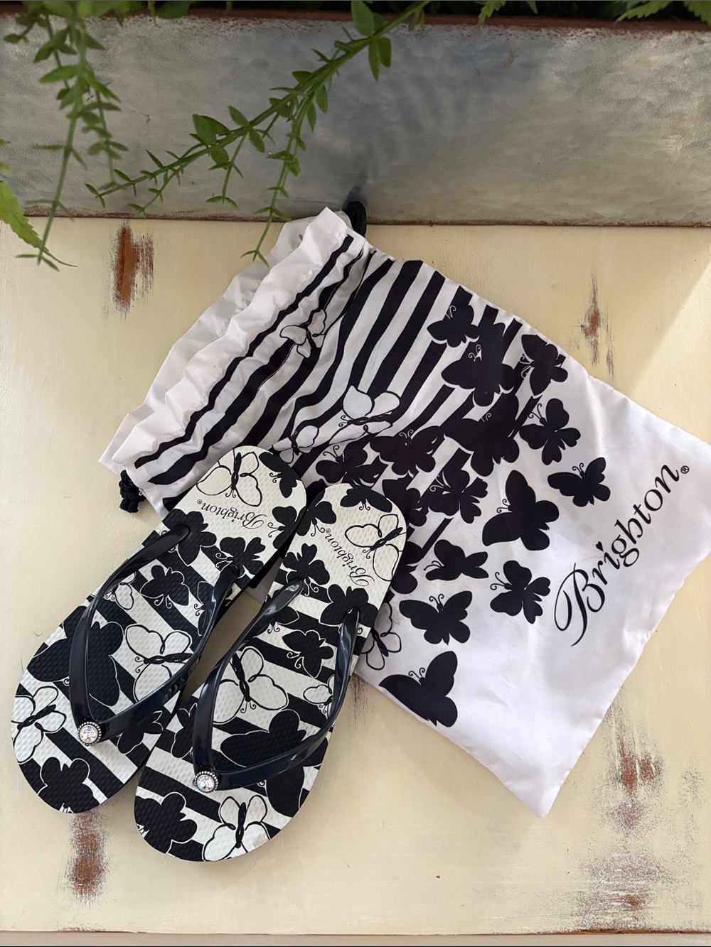 Brighton black and white butterfly float flip flops sandals Women’s size 6 NEW